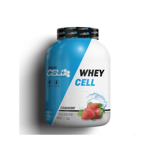 Proteina Whey - Imagen 3